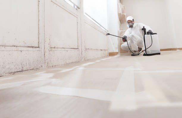 24/7 Emergency Mold Remediation experts in Milford, MI