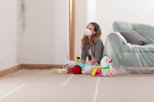 Reliable Mold Remediation contractor in Milford, MI by 24 Hour Mold Removal